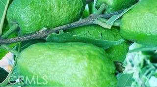 7908 Zona Court Riverside, CA 92507 - Photo 48 of 64