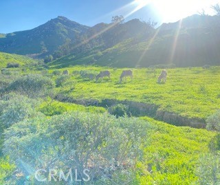 7908 Zona Court Riverside, CA 92507 - Photo 50 of 53 Park nearby