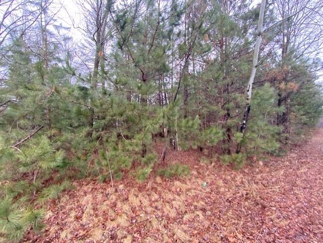 Lot 1 Sideline Road Wausau, WI 54403 - Photo 3 of 8