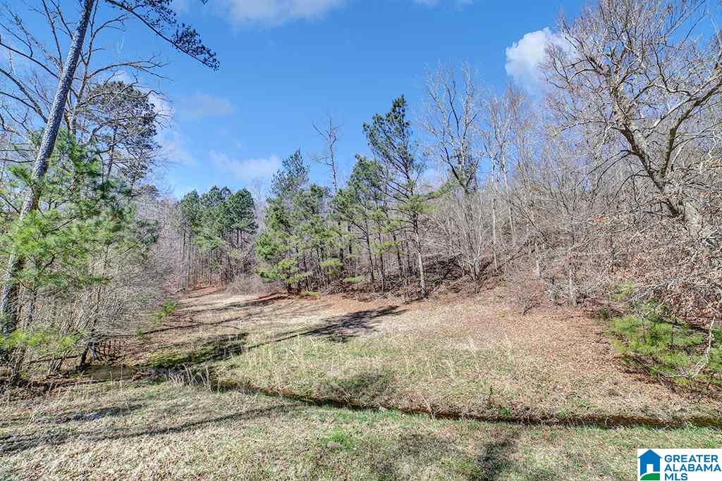 39080 Highway 231 Steele, AL 35987 - Photo 6 of 37