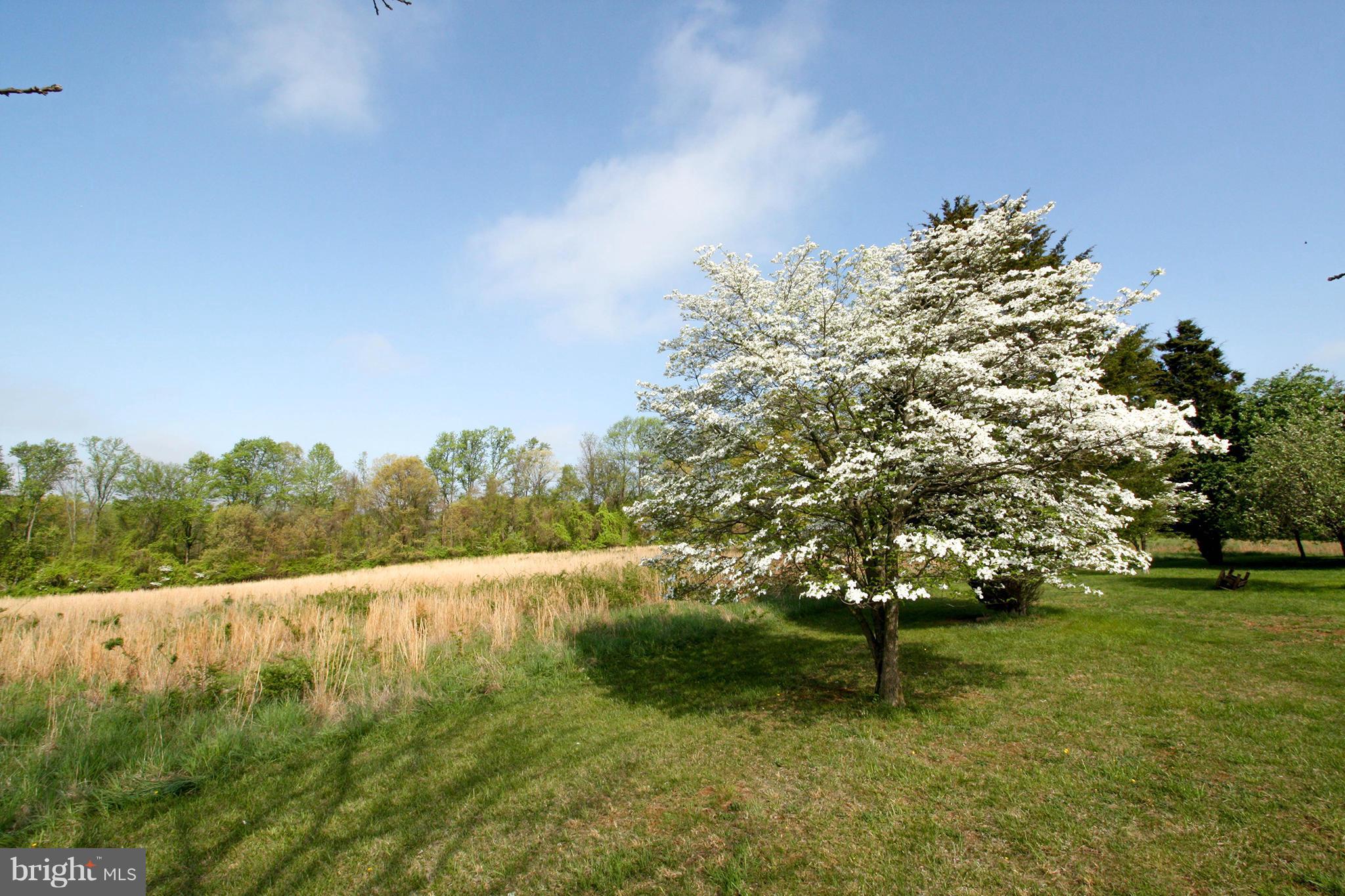 1400 North Stepney Road Aberdeen, MD 21001 - Photo 1 of 28 View