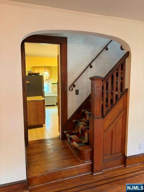 12 Ferncliff Road Bloomfield, NJ 07003 - Photo 21 of 49