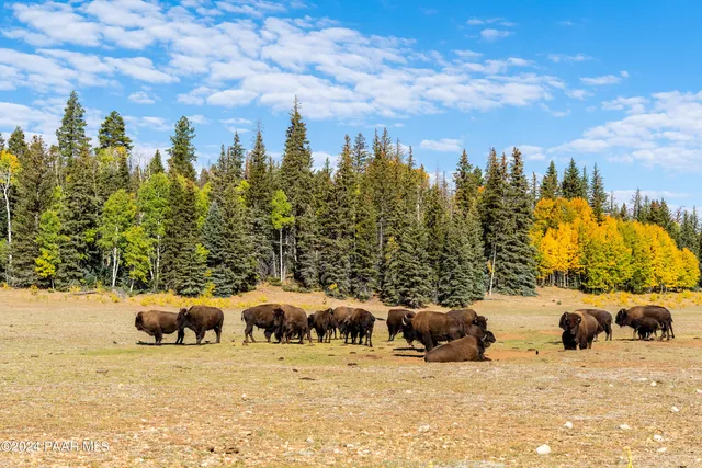 $3,750,000 | 770 Forest Service Road 461, Fredonia, AZ 86022