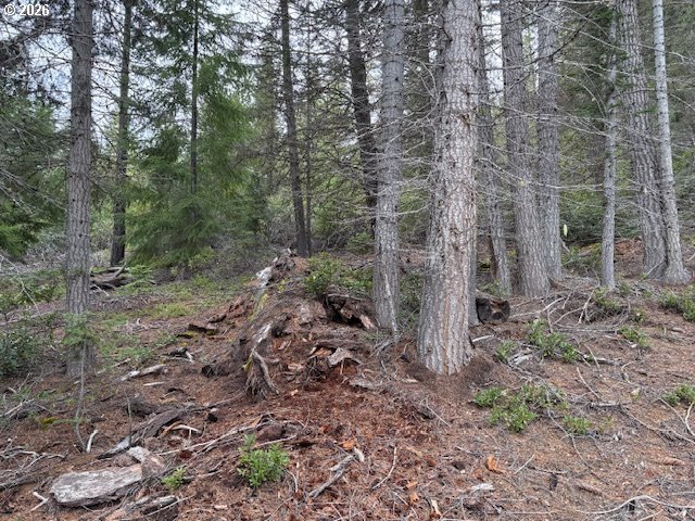 6 Royce Pine Road Crescent Lake, OR 97733 - Photo 5 of 11 a view of a forest filled with trees