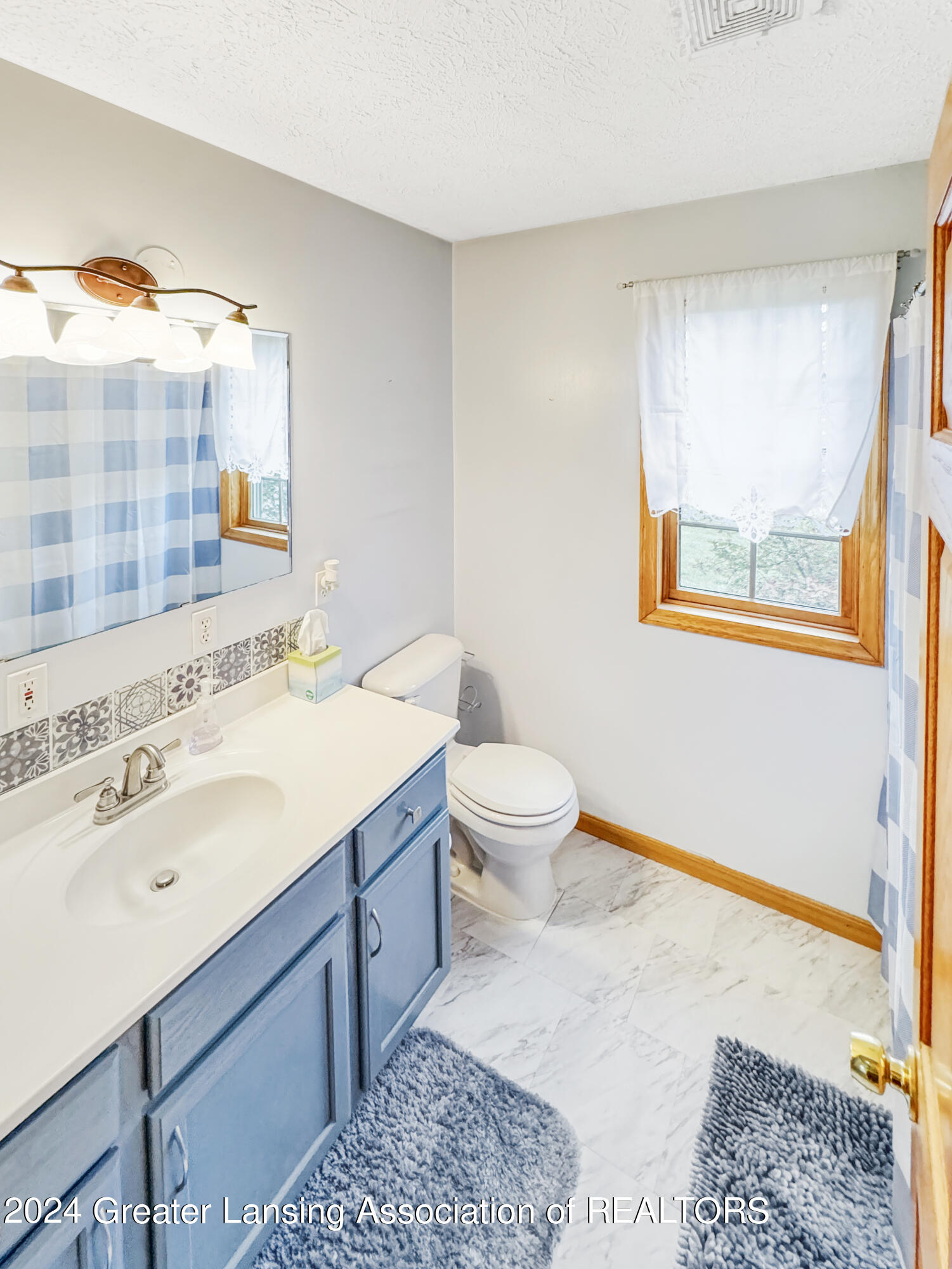 1600 West Mead Road St. Johns, MI 48879 - Photo 11 of 28 IMG_8617
