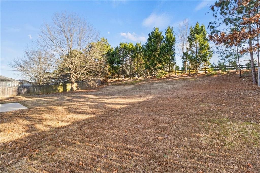 125 Parkmont Court Dallas, GA 30132 - Photo 4 of 36 a view of road with large trees