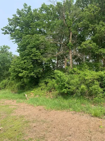 $125,000 | 1.14-ac Flowage Road, Lone Rock, WI 53556