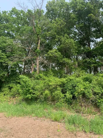 $125,000 | 1.14-ac Flowage, Lone Rock, WI 53588