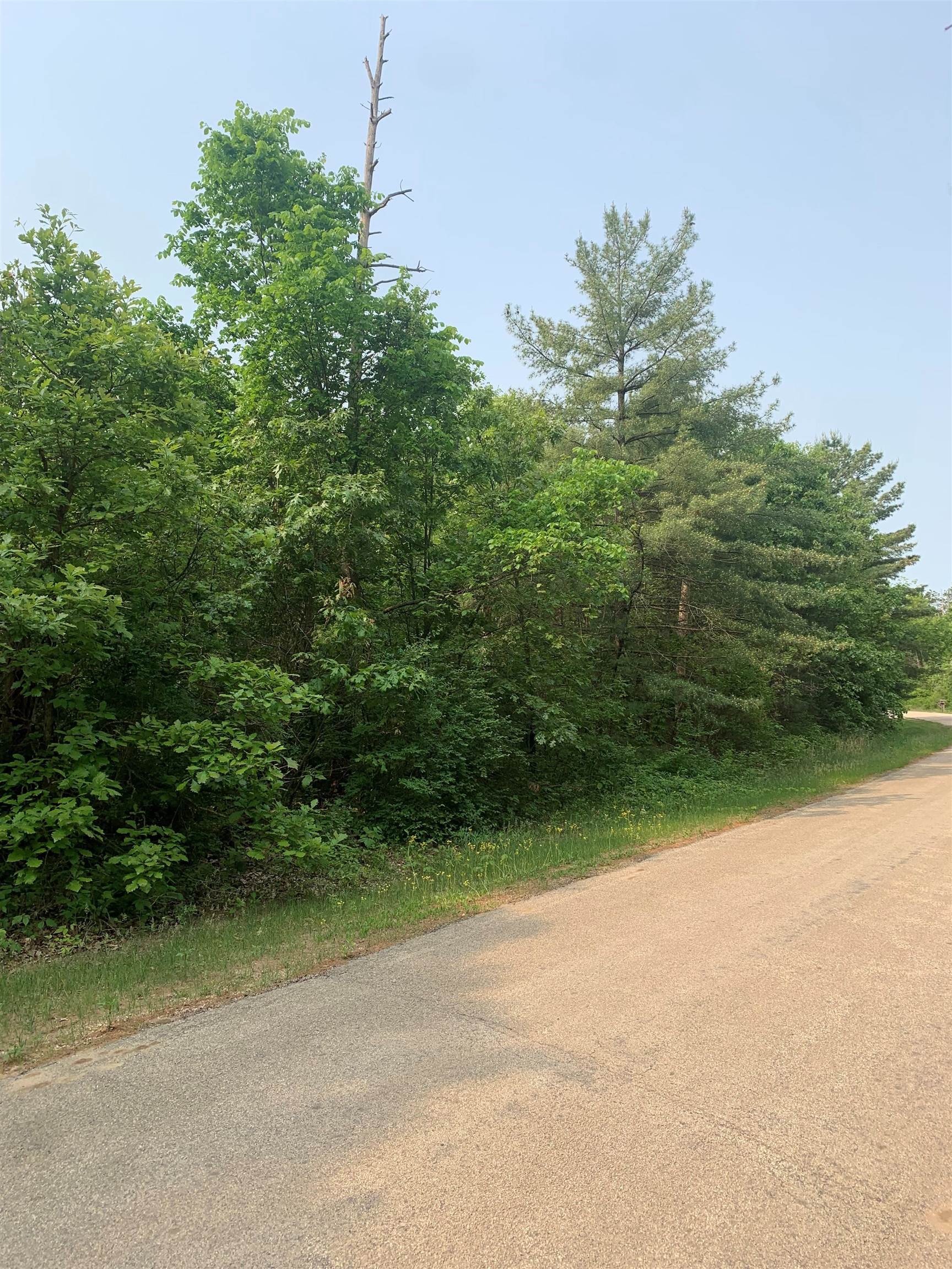 1.14-ac Flowage Lone Rock, WI 53588 - Photo 6 of 10