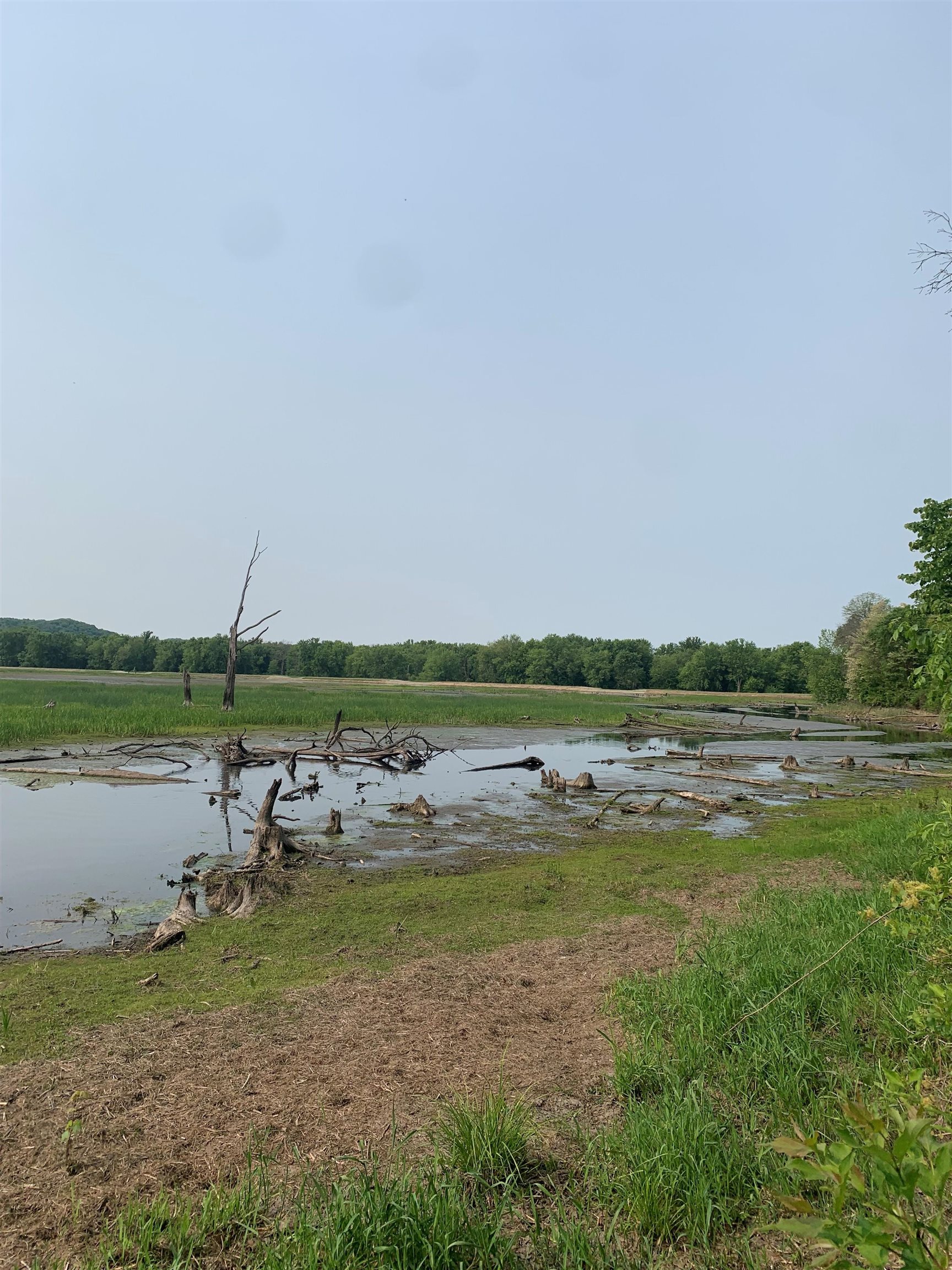1.14-ac Flowage Lone Rock, WI 53588 - Photo 7 of 10