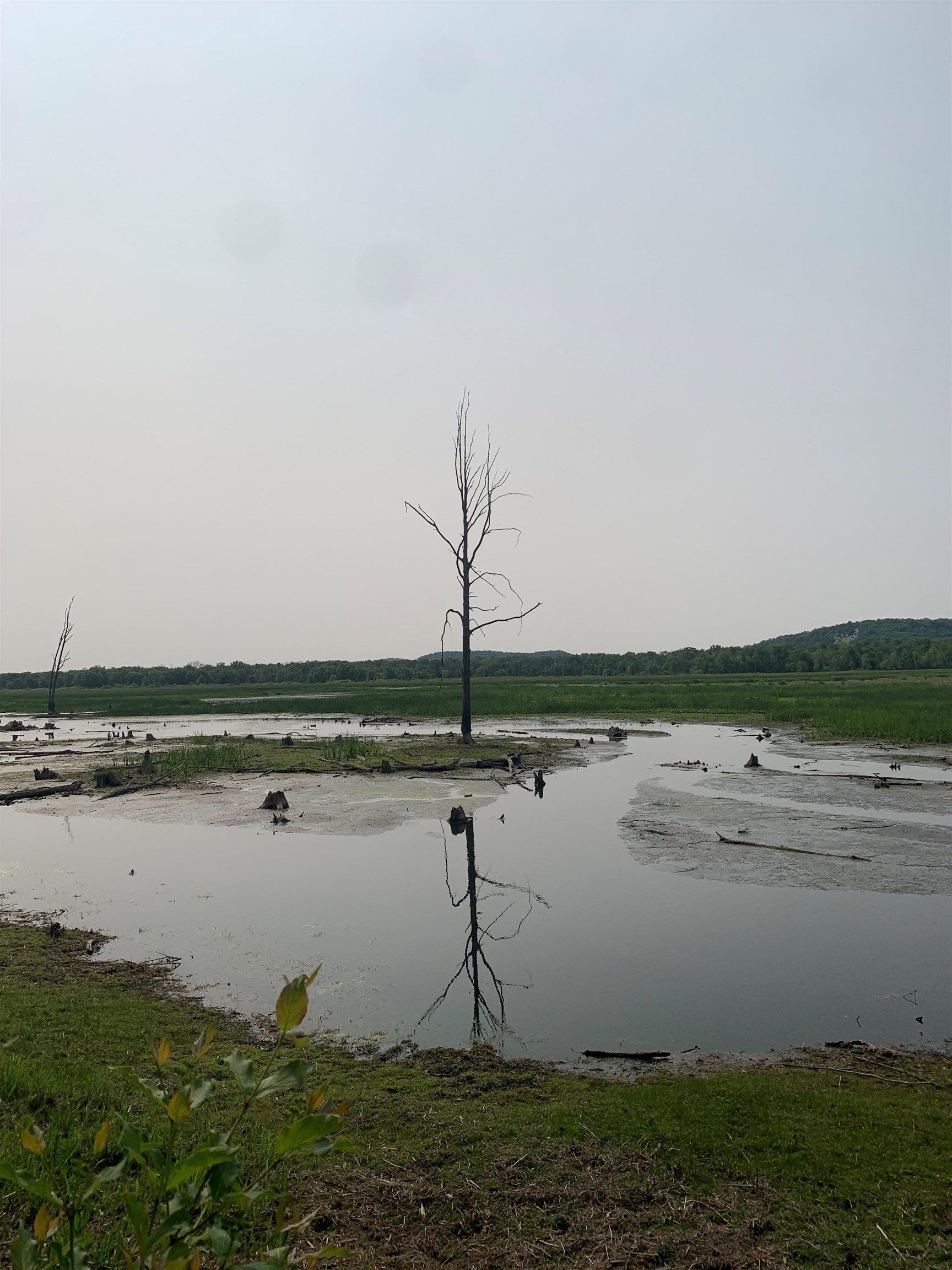 1.14-ac Flowage Lone Rock, WI 53588 - Photo 10 of 10