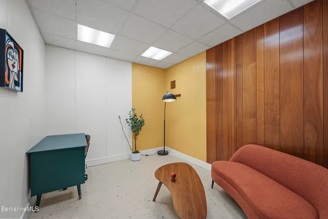 a living room with furniture flowerpot and a potted plant