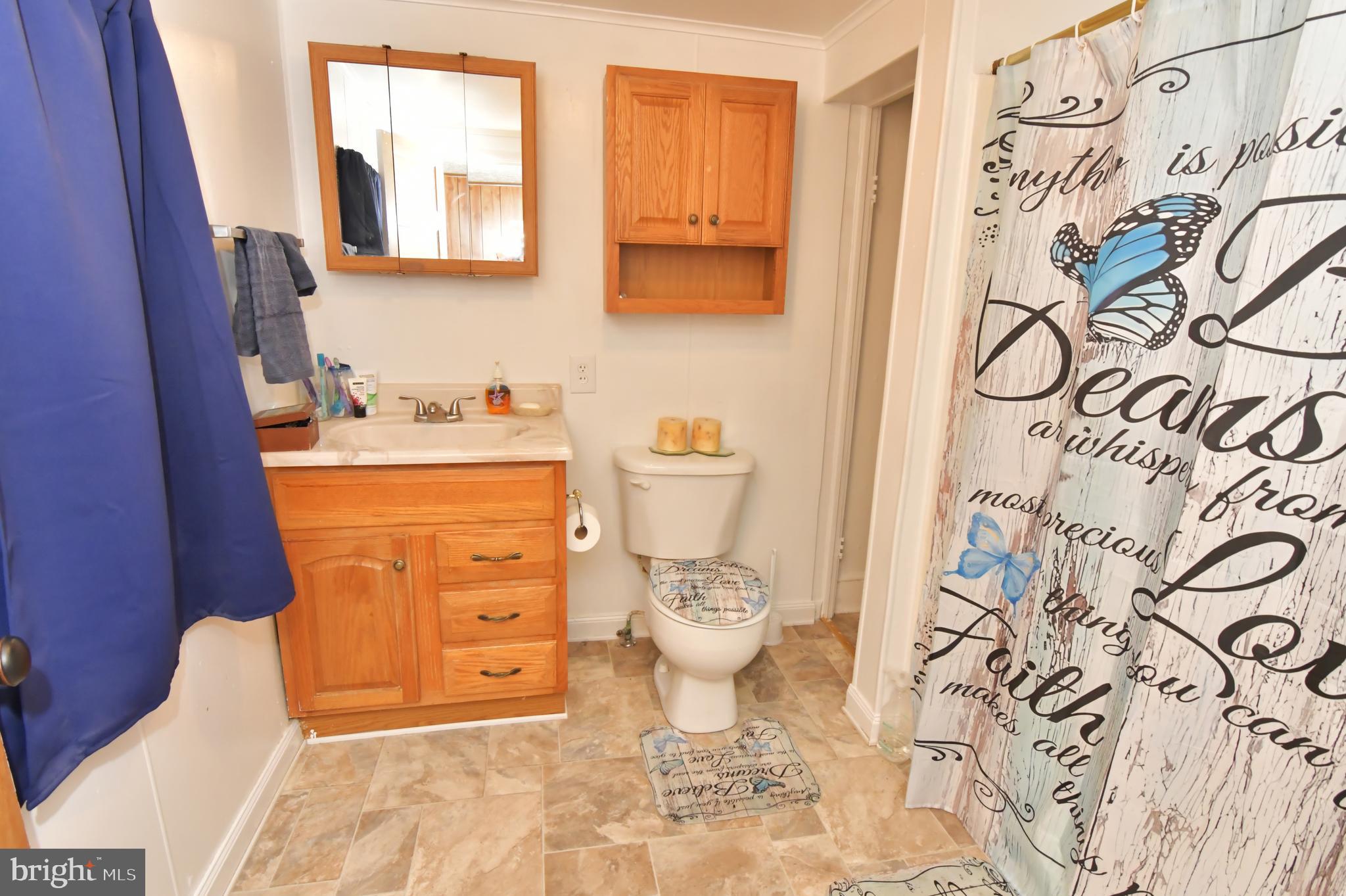 3364 Papermill Road Winchester, VA 22602 - Photo 35 of 50 Full bath