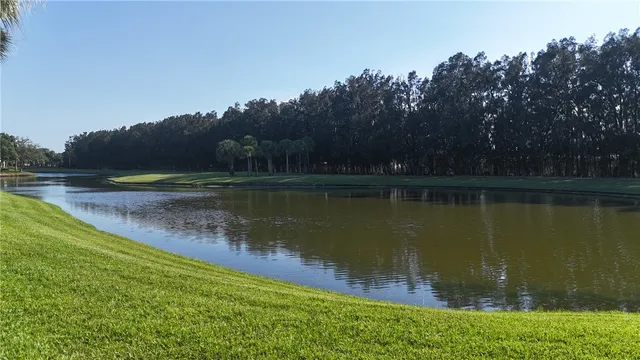 a view of a lake with houses in the back
