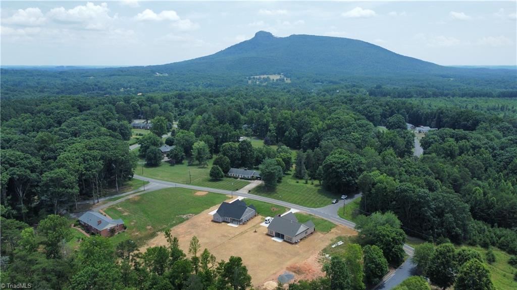 183 Golf Course Road Pilot Mountain, NC 27041 - Photo 47 of 50 Gallery Image 47