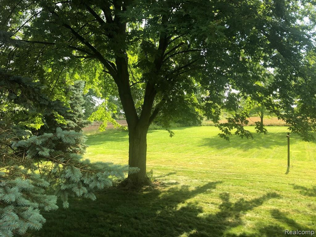 9987 Steffas Road Maybee, MI 48159 - Photo 43 of 47