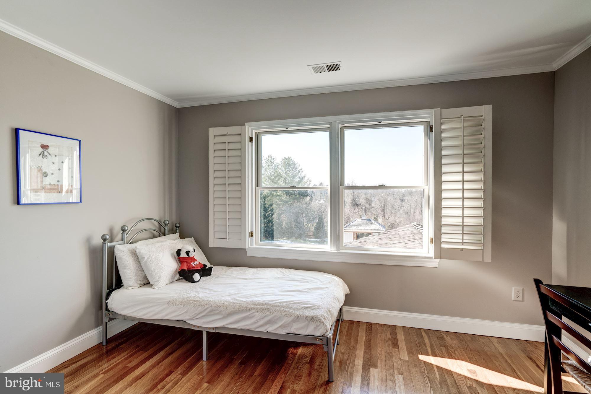 1124 Walker Road Great Falls, VA 22066 - Photo 19 of 30 Fourth bedroom with spectacular views.