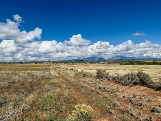 a view of room with window
