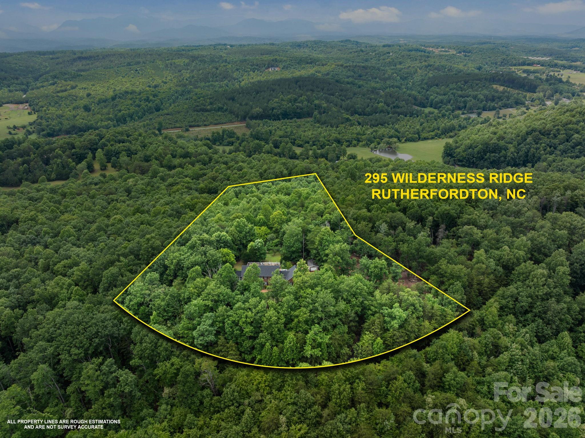 295 Wilderness Ridge Rutherfordton, NC 28139 - Photo 46 of 48
