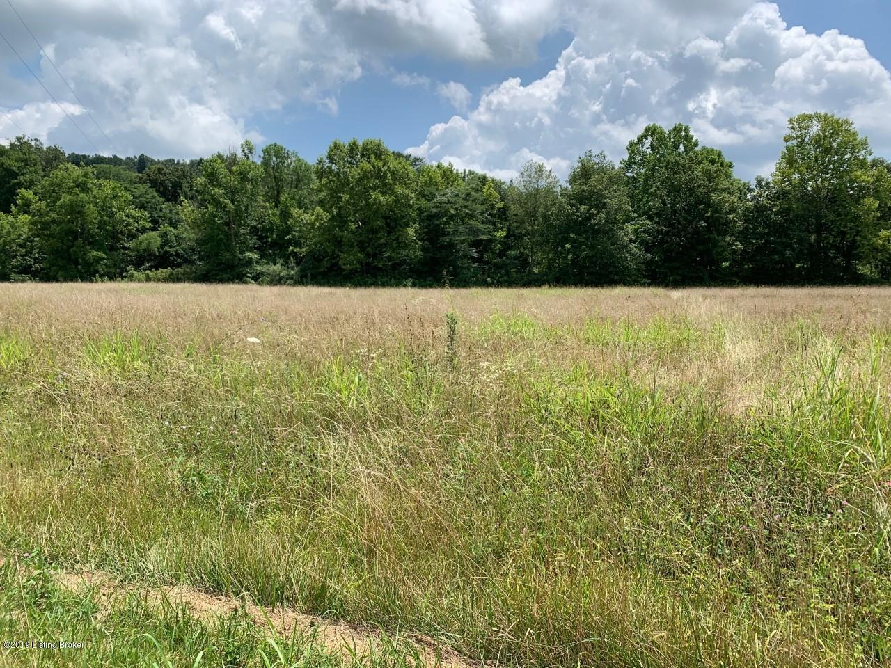 111 Bloomington Road Leitchfield, KY 42754 - Photo 2 of 11 thumbnail_IMG_0473