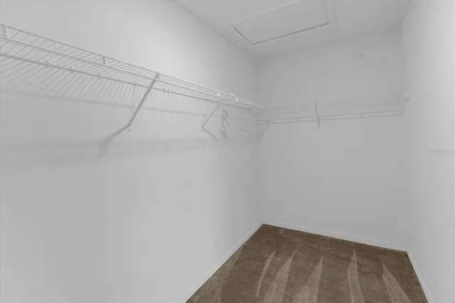 a view of a room with racks on the wall