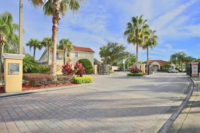 front view of palm trees and a street