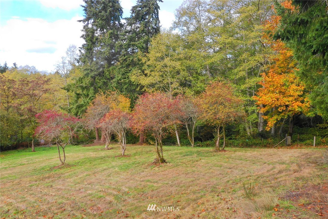 9094- Northeast Morgan Road Bainbridge Island, WA 98110 - Photo 2 of 8 Gallery Image 2