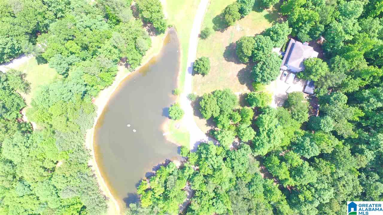 95 Brookview Lane Helena, AL 35080 - Photo 5 of 49