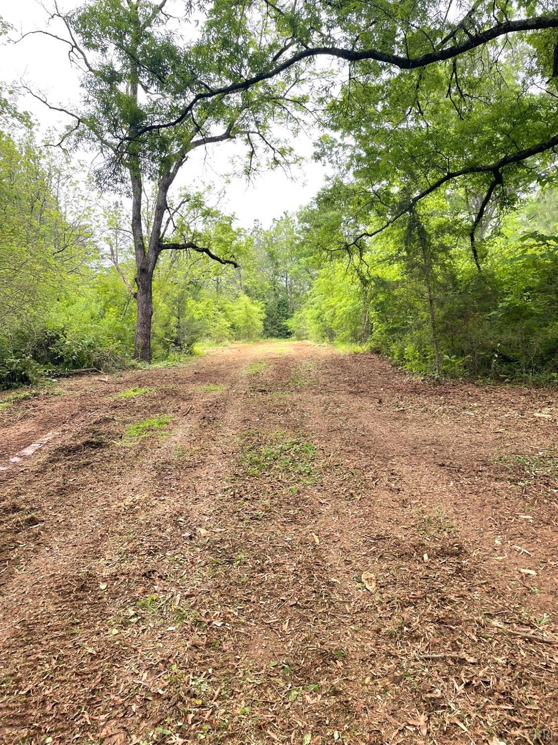 a view of a yard with a tree