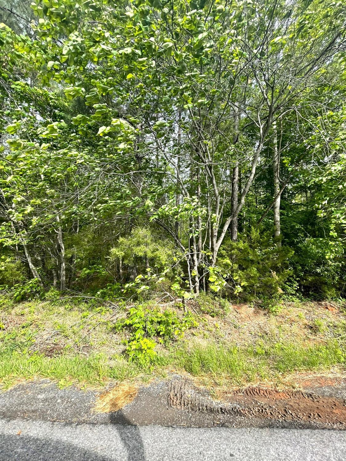 2 D Three Creeks Road Gladys, VA 24554 - Photo 11 of 20 a view of a yard with a tree