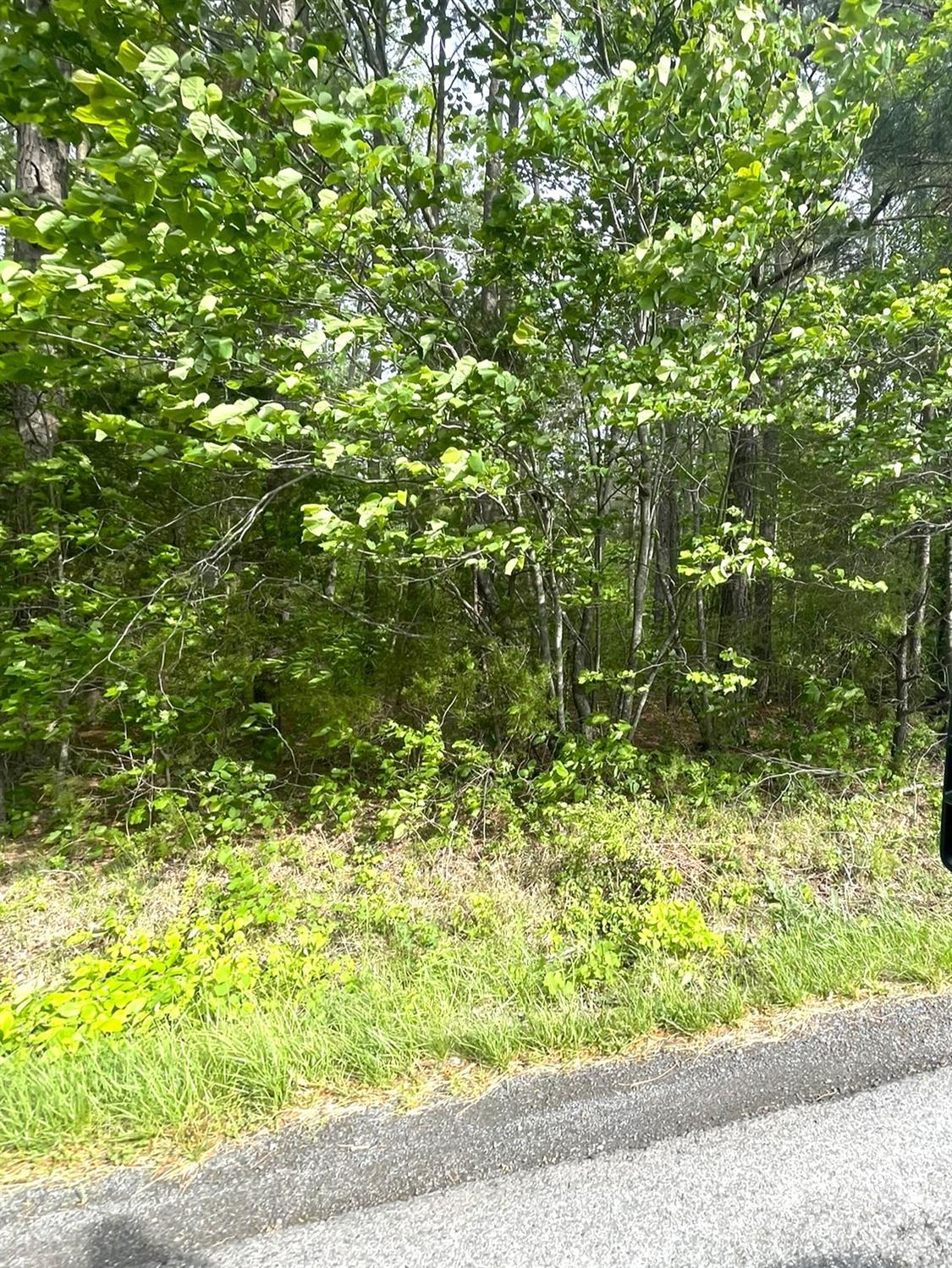 2 D Three Creeks Road Gladys, VA 24554 - Photo 17 of 20