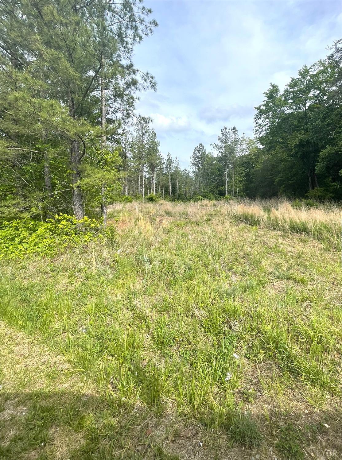 2 D Three Creeks Road Gladys, VA 24554 - Photo 3 of 20 a view of a yard with a tree