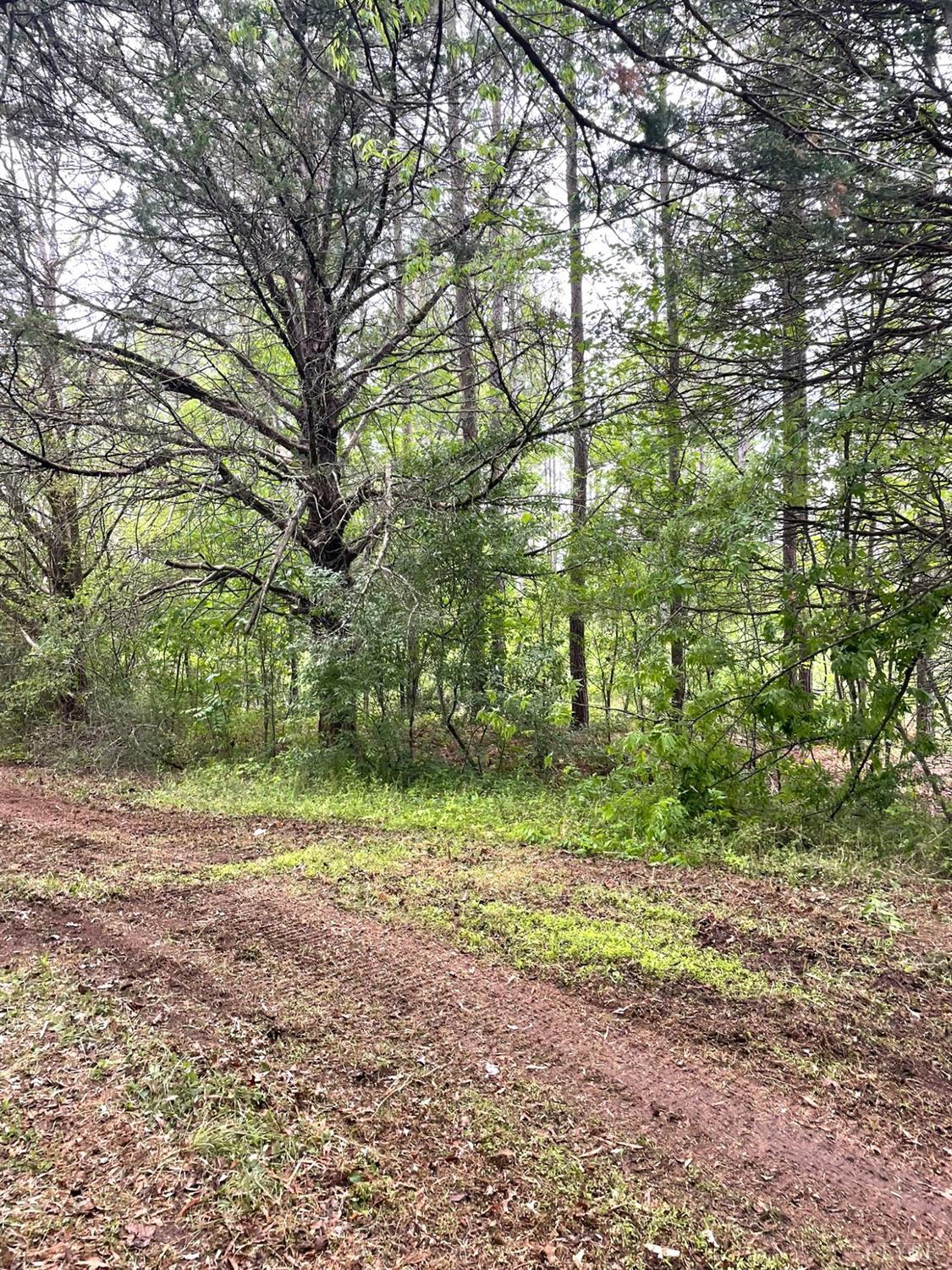 2 D Three Creeks Road Gladys, VA 24554 - Photo 5 of 20 a view of outdoor space with trees