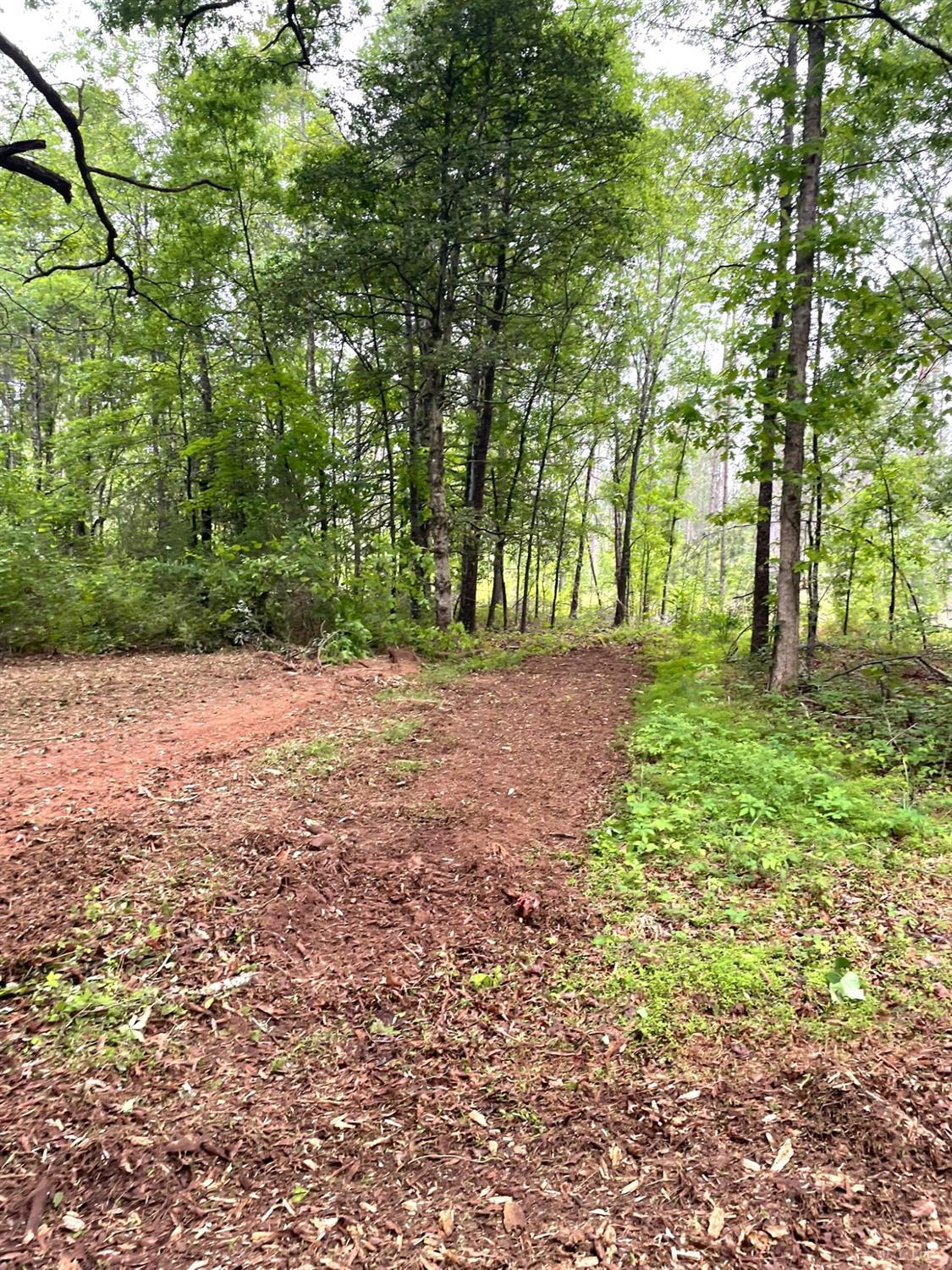2 D Three Creeks Road Gladys, VA 24554 - Photo 8 of 20 a view of backyard with green space