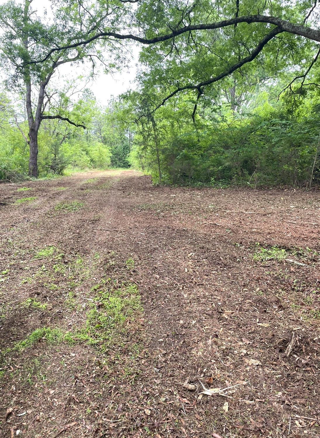 2 D Three Creeks Road Gladys, VA 24554 - Photo 10 of 20 a view of a yard with a tree