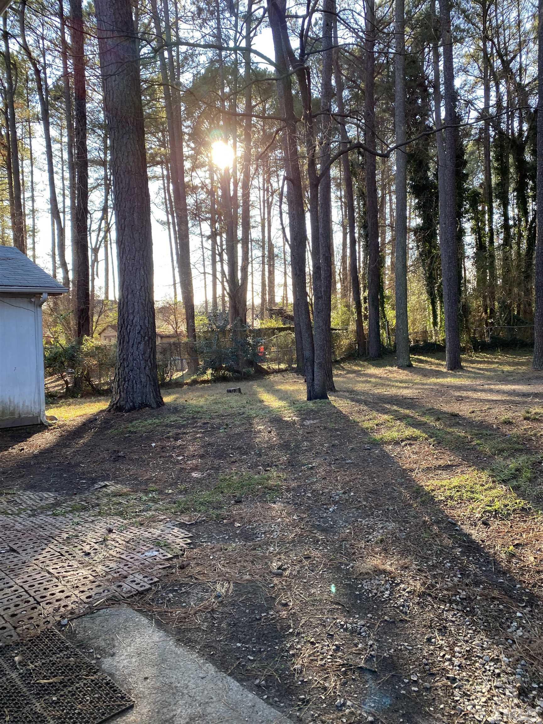 2428 Keith Drive Raleigh, NC 27610 - Photo 3 of 24 a view of outdoor space with lots of trees