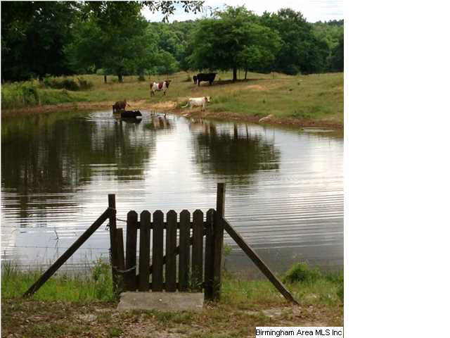 424 Jennings Road Sylacauga, AL 35151 - Photo 10 of 10