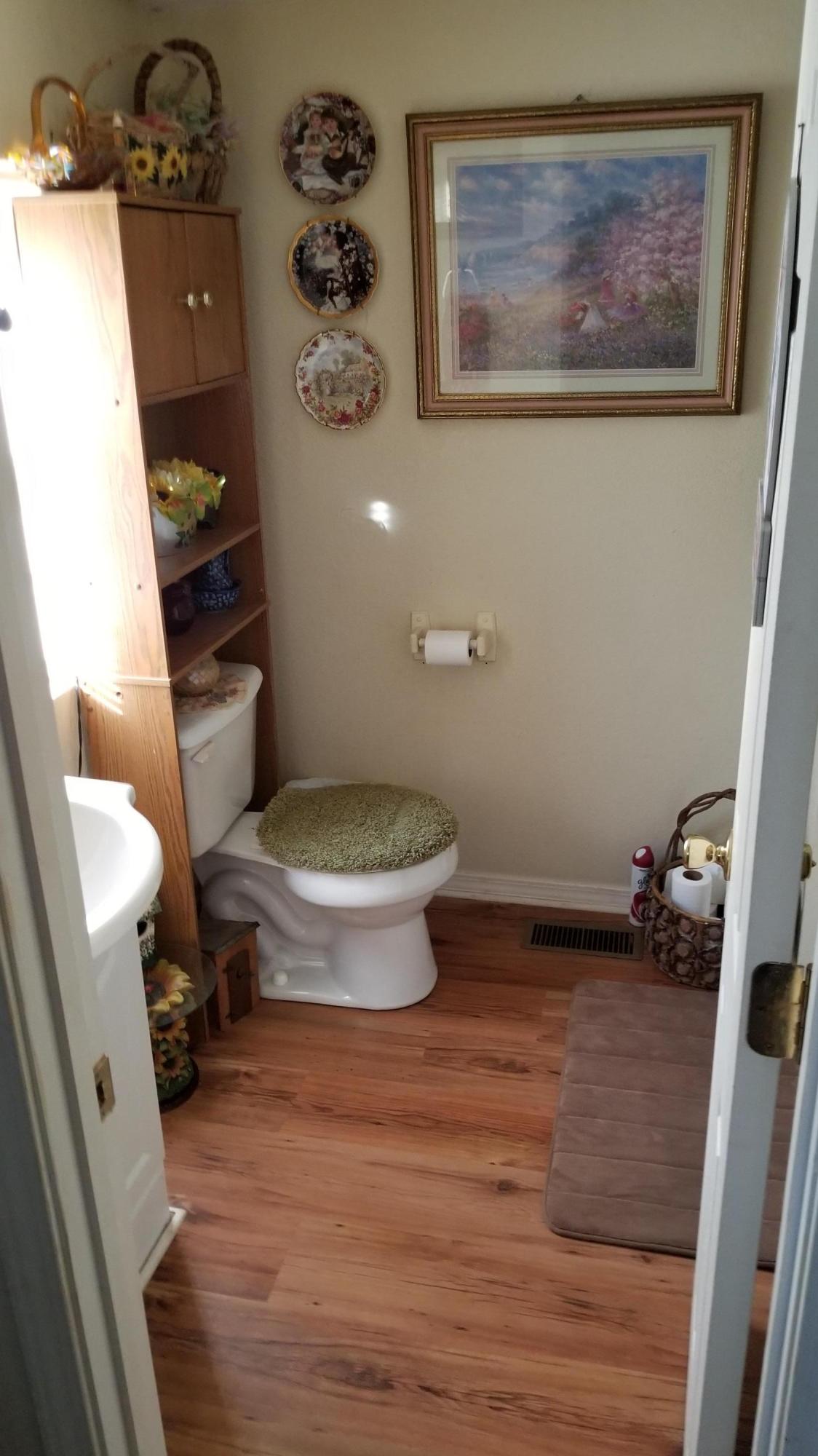 2708 Allegheny Loop Road Maryville, TN 37803 - Photo 17 of 32 Guest Full Bathroom