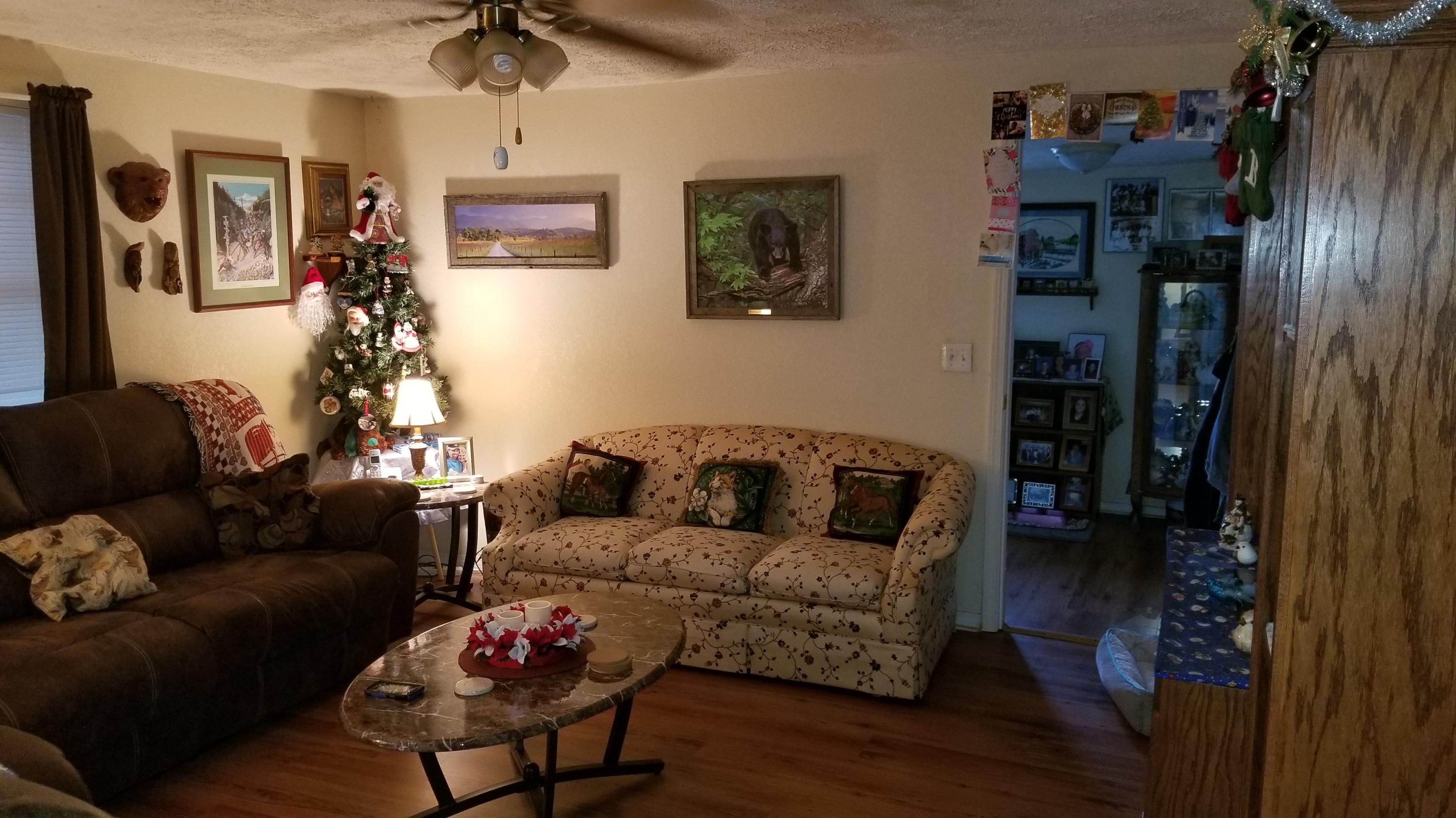 2708 Allegheny Loop Road Maryville, TN 37803 - Photo 18 of 32 Living Room