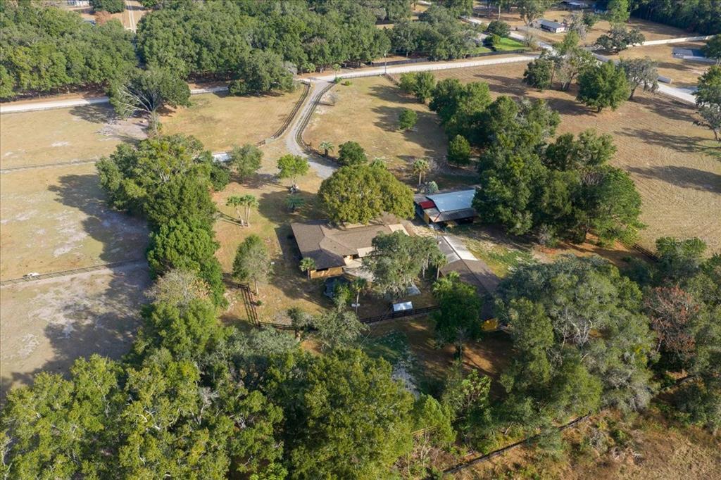 7380 Southwest 86th Lane Ocala, FL 34476 - Photo 48 of 50 a view of a garden with plants