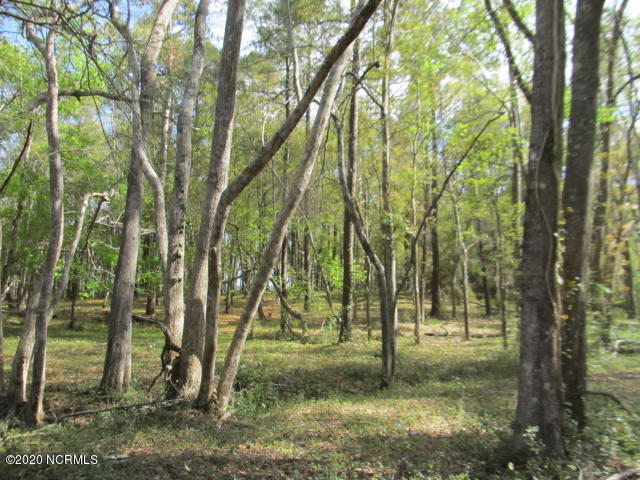 9019 Ocean Harbour Golf Club Road Southwest Calabash, NC 28467 - Photo 1 of 15 IMG_3759