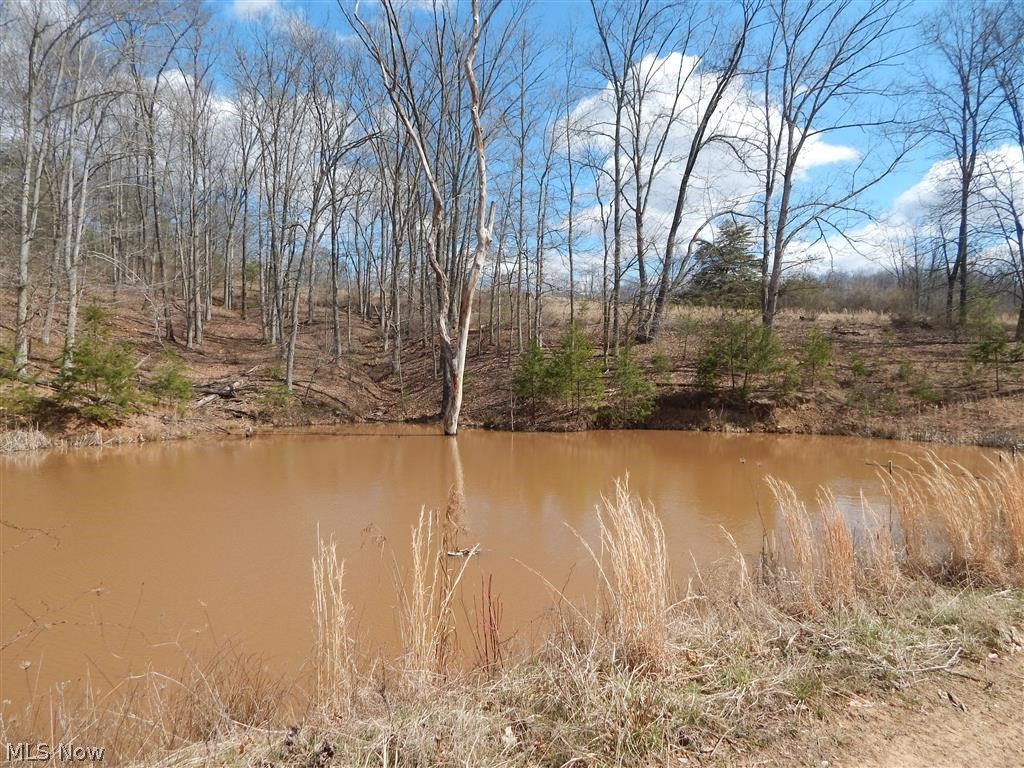 5285 Oil Ridge Harrisville, WV 26362 - Photo 32 of 35 Gallery Image 32