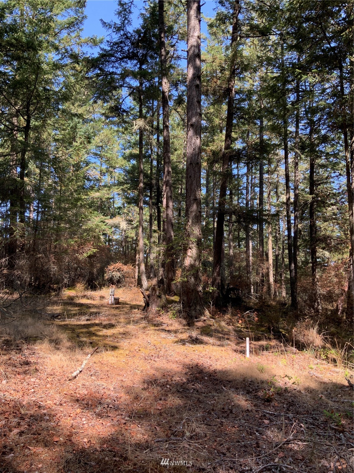 0 Spring Point Road Deer Harbor, WA 98243 - Photo 11 of 29 Gallery Image 11