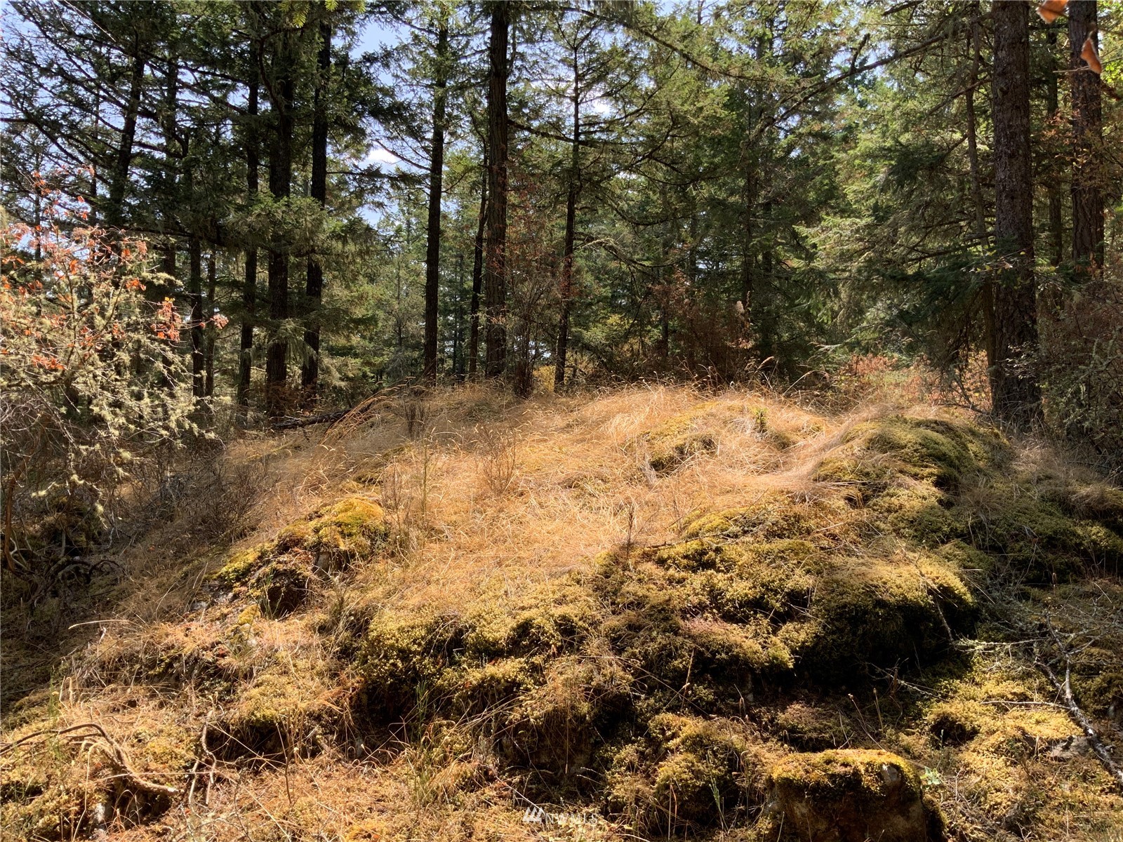 0 Spring Point Road Deer Harbor, WA 98243 - Photo 13 of 29 Gallery Image 13