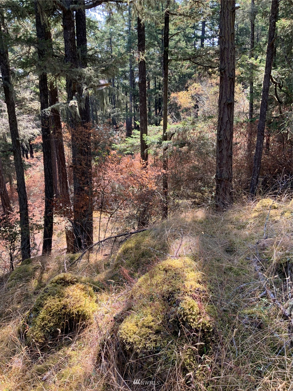 0 Spring Point Road Deer Harbor, WA 98243 - Photo 17 of 29 Gallery Image 17