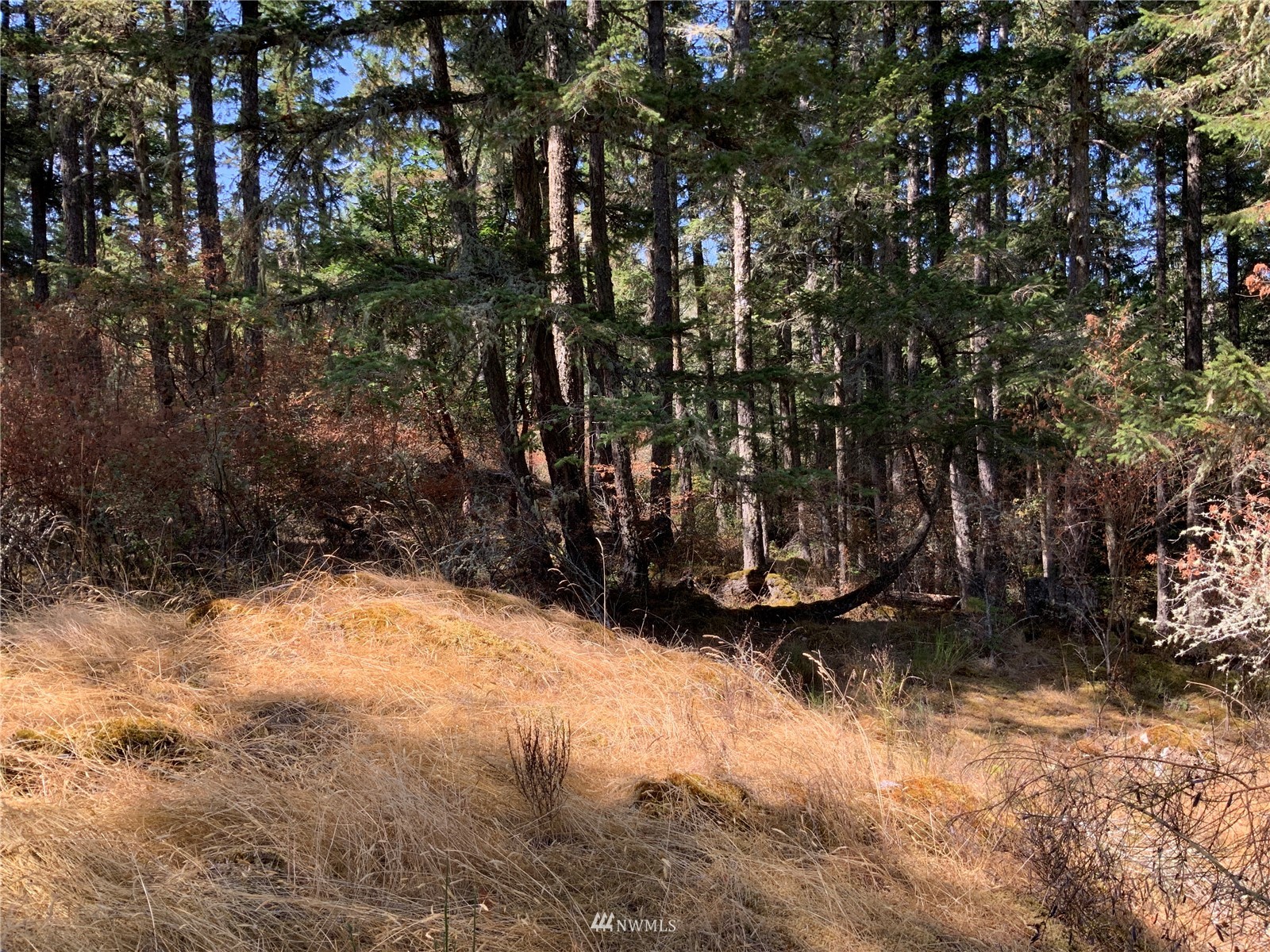 0 Spring Point Road Deer Harbor, WA 98243 - Photo 18 of 29 Gallery Image 18