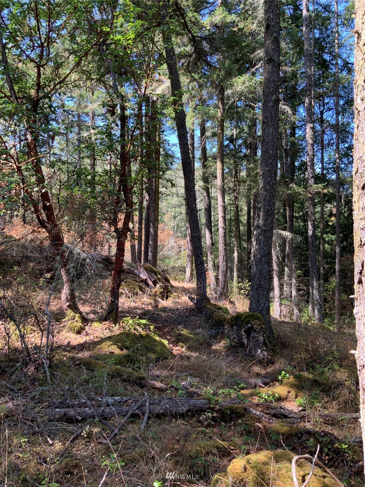 0 Spring Point Road Deer Harbor, WA 98243 - Photo 19 of 29 Gallery Image 19