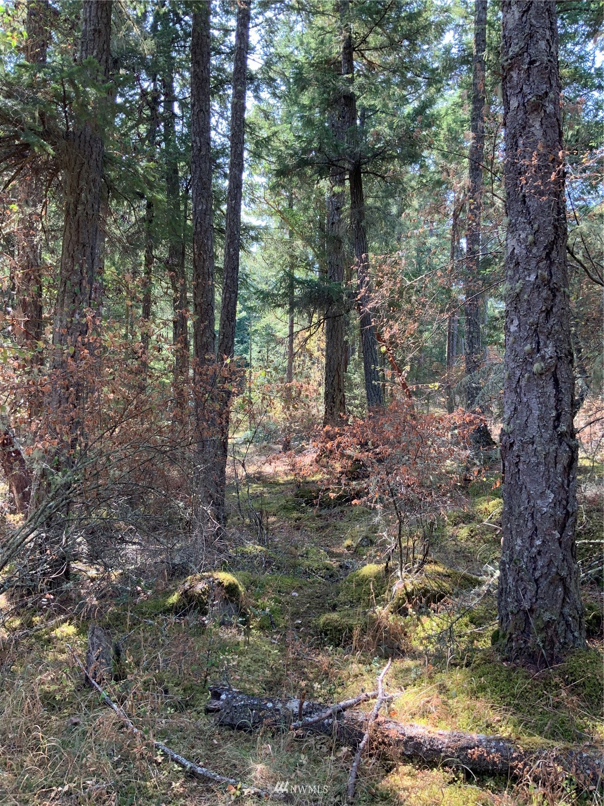 0 Spring Point Road Deer Harbor, WA 98243 - Photo 20 of 29 Gallery Image 20