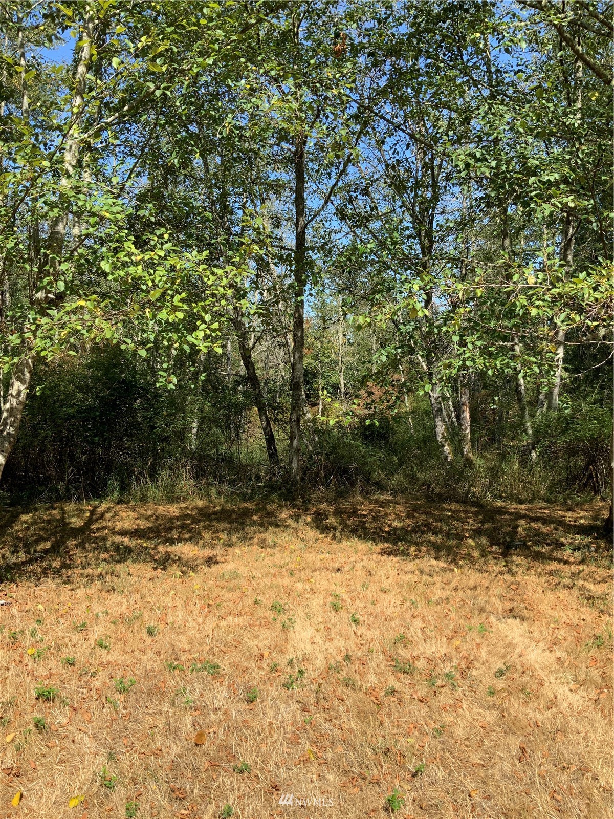 0 Spring Point Road Deer Harbor, WA 98243 - Photo 22 of 29 Gallery Image 22