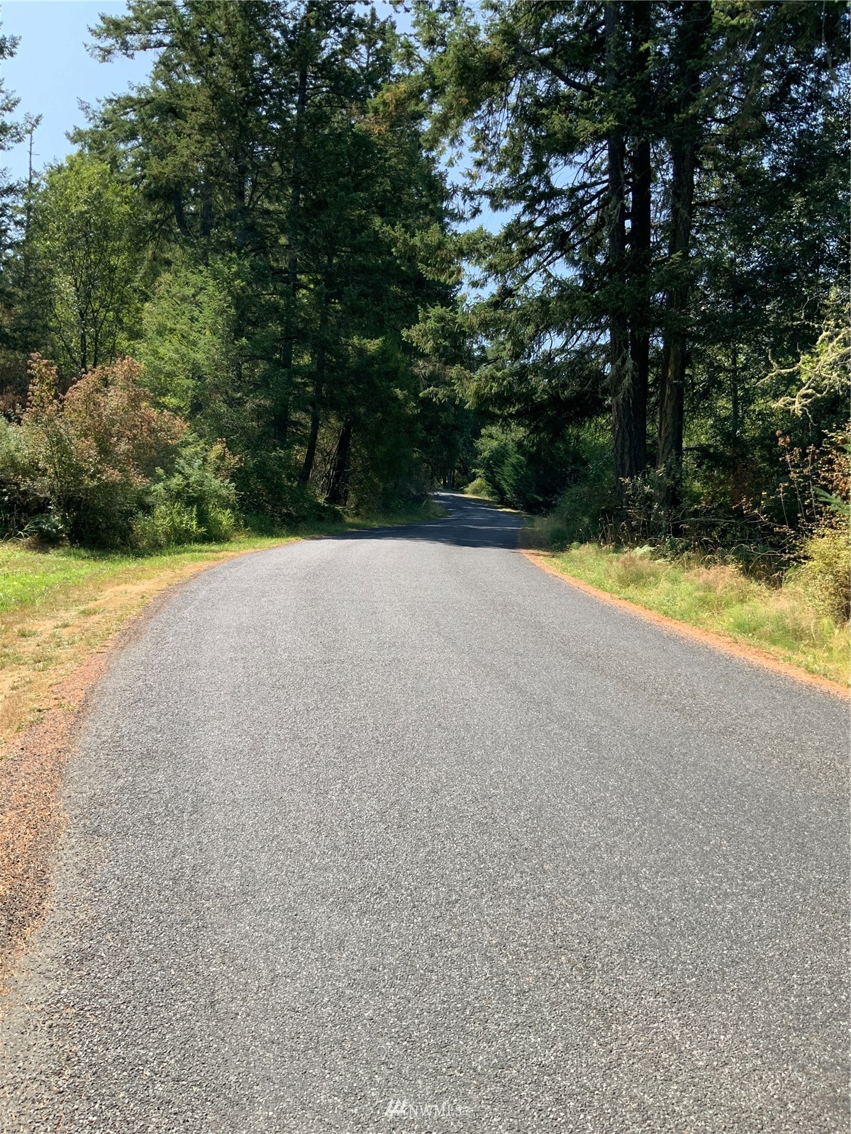 0 Spring Point Road Deer Harbor, WA 98243 - Photo 24 of 29 Gallery Image 24